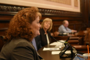 Senator Murphy in a committee hearing