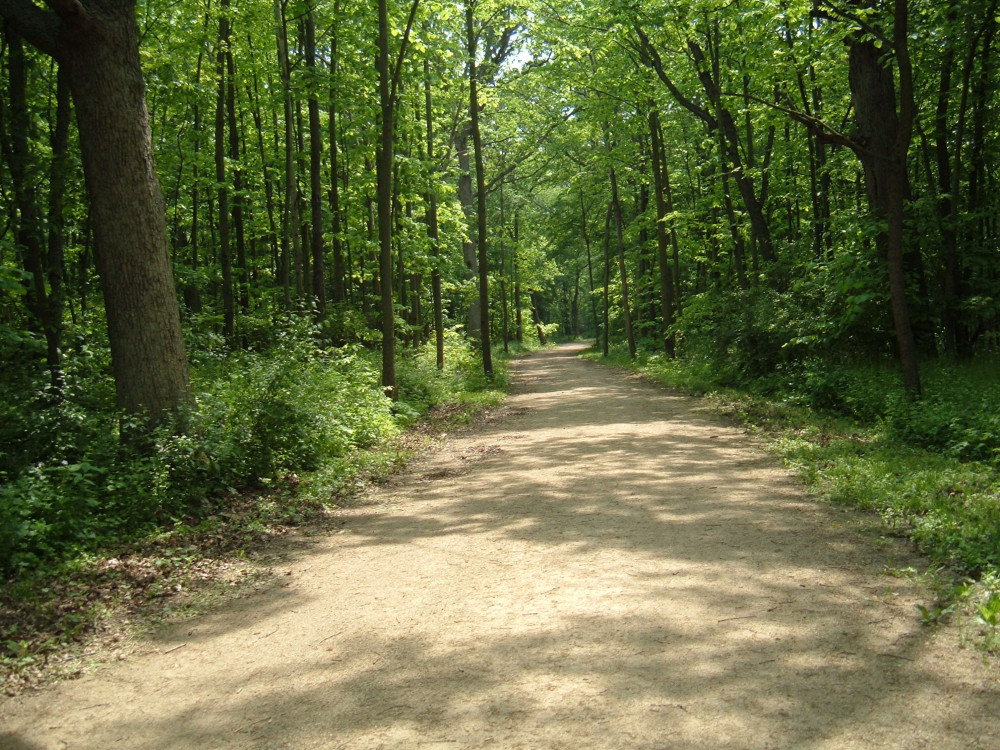 Des Plaines River Trail Lake County Illinois sm