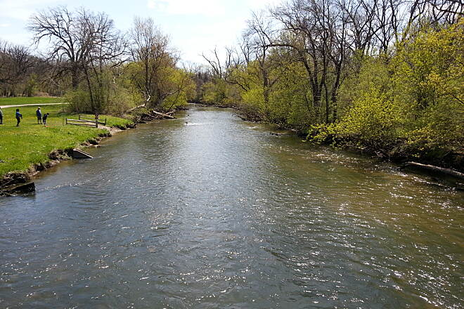 Salt Creek